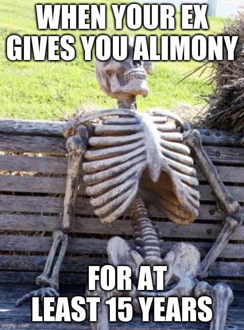 Alimony should be illegal | WHEN YOUR EX GIVES YOU ALIMONY; FOR AT LEAST 15 YEARS | image tagged in memes,divorce | made w/ Imgflip meme maker