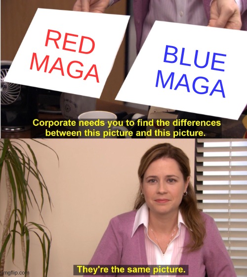 Blue Maga vs Red Maga | RED MAGA; BLUE MAGA | image tagged in memes,they're the same picture | made w/ Imgflip meme maker