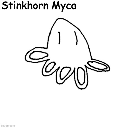 kj | Stinkhorn Myca | made w/ Imgflip meme maker