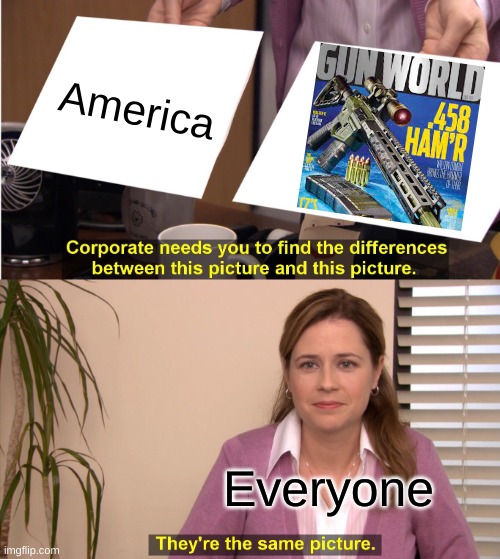 (insert southern accent here)In america we have guns | America; Everyone | image tagged in memes,they're the same picture | made w/ Imgflip meme maker