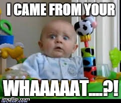 I CAME FROM YOUR WHAAAAAT....?! | made w/ Imgflip meme maker