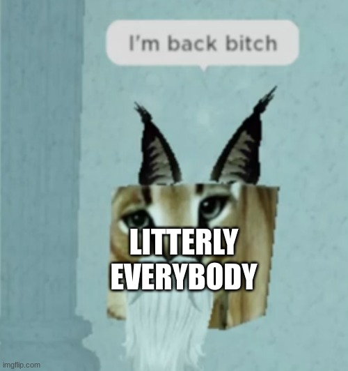 LITTERLY EVERYBODY | image tagged in im back b tch | made w/ Imgflip meme maker