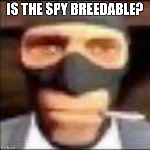 spi | IS THE SPY BREEDABLE? | image tagged in spi | made w/ Imgflip meme maker