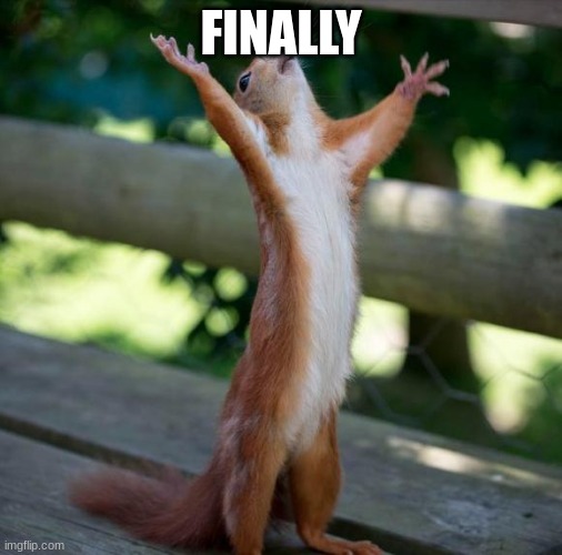 finally | FINALLY | image tagged in finally | made w/ Imgflip meme maker