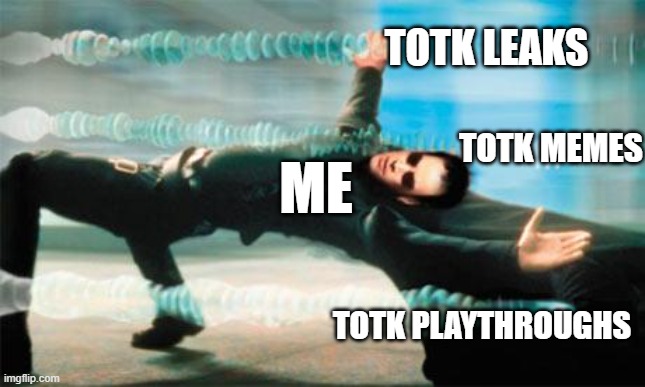 BUT THEY JUST KEEP COMING!!! | TOTK LEAKS; TOTK MEMES; ME; TOTK PLAYTHROUGHS | image tagged in matrix dodge,totk,gaming,memes,funny | made w/ Imgflip meme maker