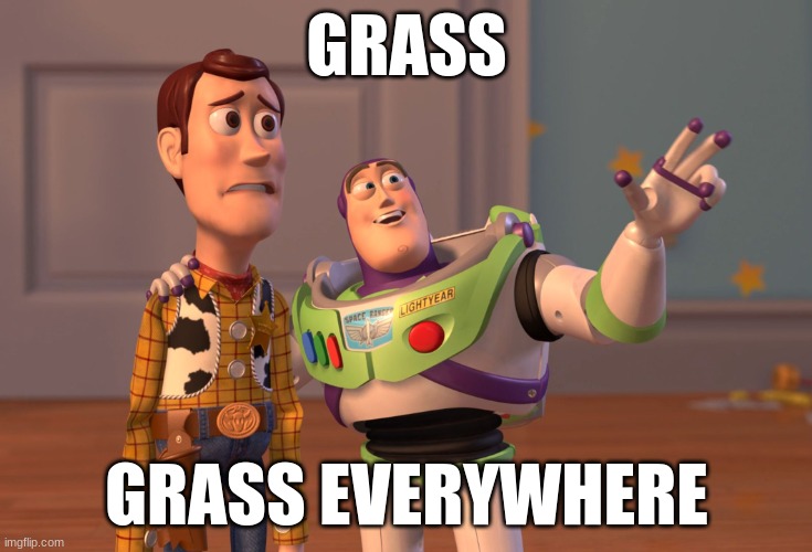X, X Everywhere | GRASS; GRASS EVERYWHERE | image tagged in memes,x x everywhere | made w/ Imgflip meme maker