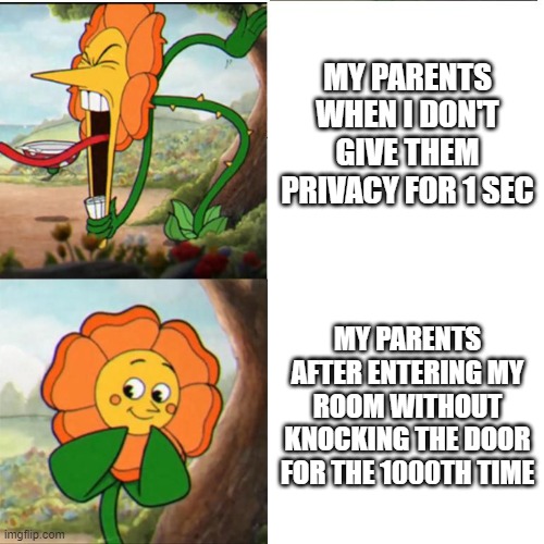 plz give me privacy | MY PARENTS WHEN I DON'T GIVE THEM PRIVACY FOR 1 SEC; MY PARENTS AFTER ENTERING MY ROOM WITHOUT KNOCKING THE DOOR FOR THE 1000TH TIME | image tagged in cuphead flower | made w/ Imgflip meme maker