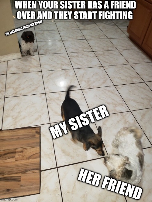 h | WHEN YOUR SISTER HAS A FRIEND OVER AND THEY START FIGHTING; ME LISTENING FROM MY ROOM; MY SISTER; HER FRIEND | image tagged in dumb | made w/ Imgflip meme maker