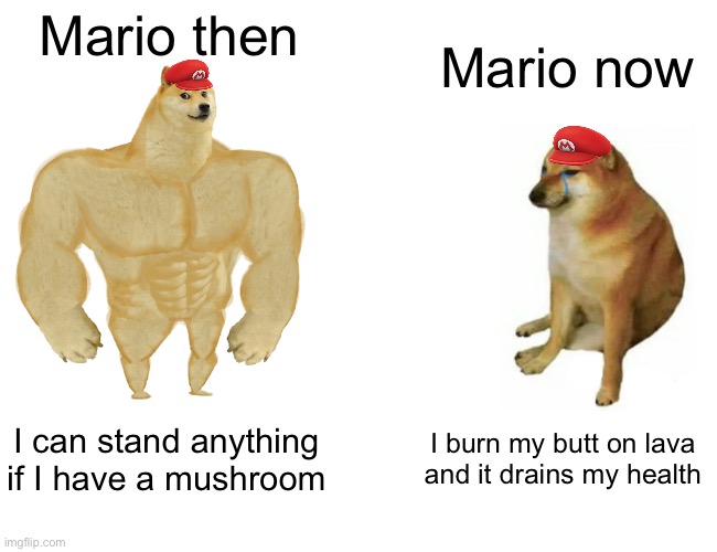 Buff Doge vs. Cheems | Mario then; Mario now; I can stand anything if I have a mushroom; I burn my butt on lava and it drains my health | image tagged in memes,buff doge vs cheems,mario | made w/ Imgflip meme maker