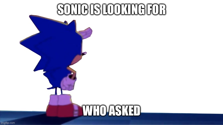sonic looking over the horizon | SONIC IS LOOKING FOR WHO ASKED | image tagged in sonic looking over the horizon | made w/ Imgflip meme maker