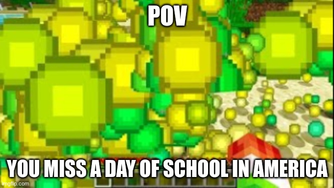 minecaft xp | POV; YOU MISS A DAY OF SCHOOL IN AMERICA | image tagged in minecaft xp | made w/ Imgflip meme maker