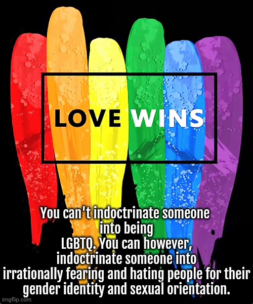 Love Everyone Regardless... | You can't indoctrinate someone 
into being LGBTQ. You can however,
indoctrinate someone into irrationally fearing and hating people for their
gender identity and sexual orientation. | image tagged in love,judging,acceptance,hate,lgbtq | made w/ Imgflip meme maker