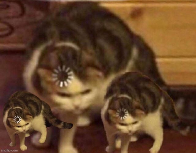 multiple loading cats | image tagged in multiple loading cats | made w/ Imgflip meme maker