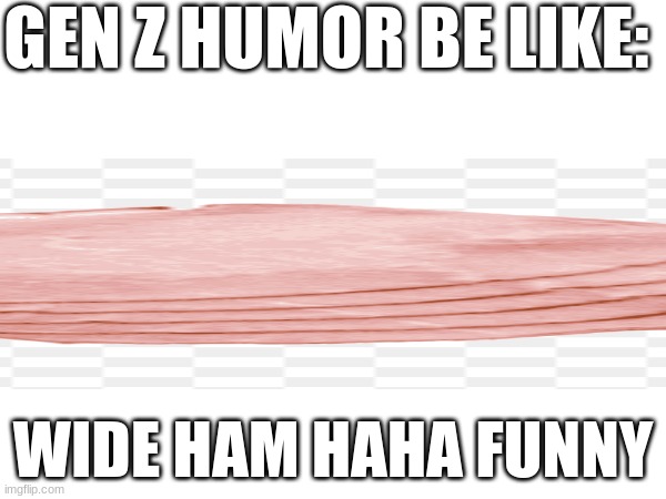 Ham | GEN Z HUMOR BE LIKE:; WIDE HAM HAHA FUNNY | image tagged in funny memes,21st century,humor,dumb | made w/ Imgflip meme maker