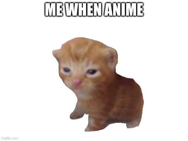 Me when anime | ME WHEN ANIME | image tagged in anime,cat | made w/ Imgflip meme maker