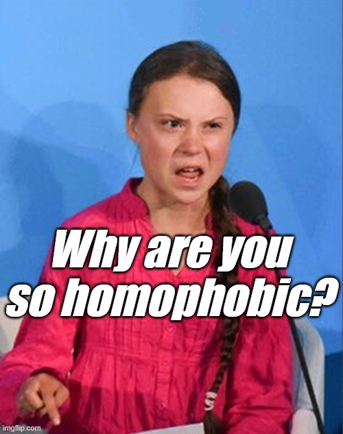 Greta Thunberg how dare you | Why are you so homophobic? | image tagged in greta thunberg how dare you | made w/ Imgflip meme maker