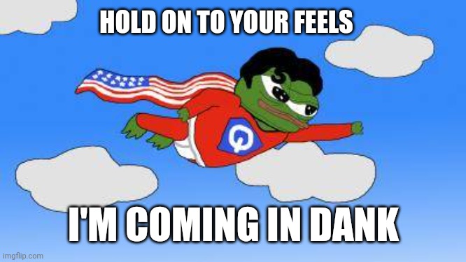 Coming in dank | HOLD ON TO YOUR FEELS; I'M COMING IN DANK | image tagged in pepe,dank memes,funny | made w/ Imgflip meme maker