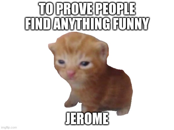 turip | TO PROVE PEOPLE FIND ANYTHING FUNNY; JEROME | image tagged in cat,prove me wrong | made w/ Imgflip meme maker