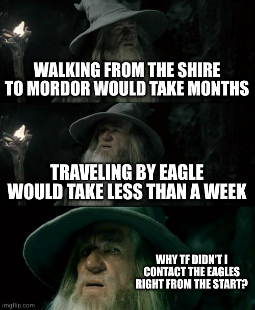 Maybe it just wasn't an emergency | WALKING FROM THE SHIRE TO MORDOR WOULD TAKE MONTHS; TRAVELING BY EAGLE WOULD TAKE LESS THAN A WEEK; WHY TF DIDN'T I CONTACT THE EAGLES RIGHT FROM THE START? | image tagged in memes,confused gandalf | made w/ Imgflip meme maker
