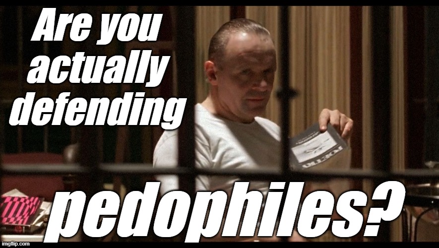 Are you actually defending pedophiles? | made w/ Imgflip meme maker