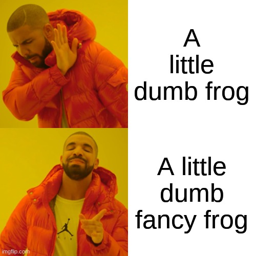 A little dumb frog A little dumb fancy frog | image tagged in memes,drake hotline bling | made w/ Imgflip meme maker