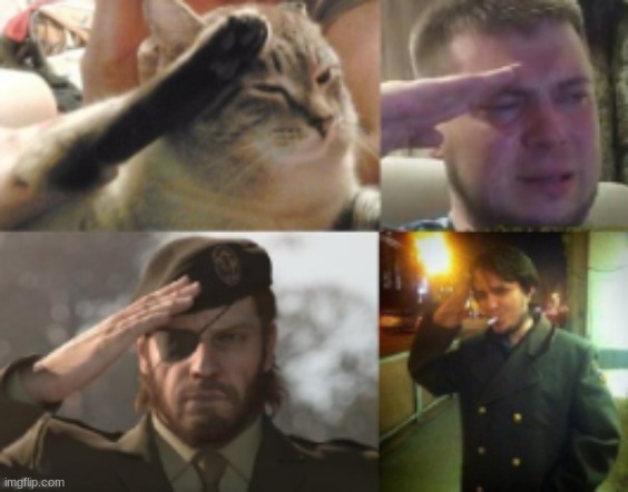 salute | image tagged in salute | made w/ Imgflip meme maker