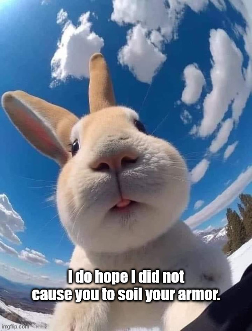 Just a wee bunny! | I do hope I did not cause you to soil your armor. | image tagged in rabbit,wee bunny,soiled armor,monty python | made w/ Imgflip meme maker