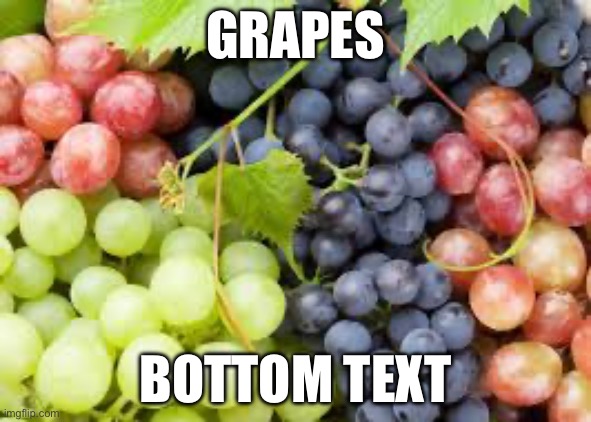 grapes | GRAPES BOTTOM TEXT | image tagged in grapes | made w/ Imgflip meme maker