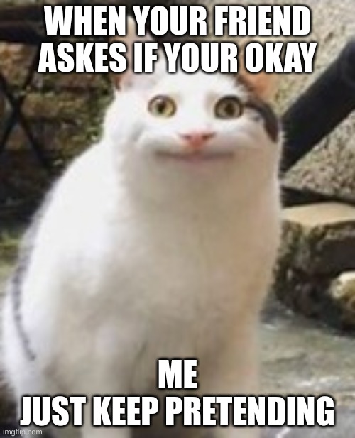 Beluga cat sus | WHEN YOUR FRIEND ASKES IF YOUR OKAY; ME
JUST KEEP PRETENDING | image tagged in beluga cat sus | made w/ Imgflip meme maker