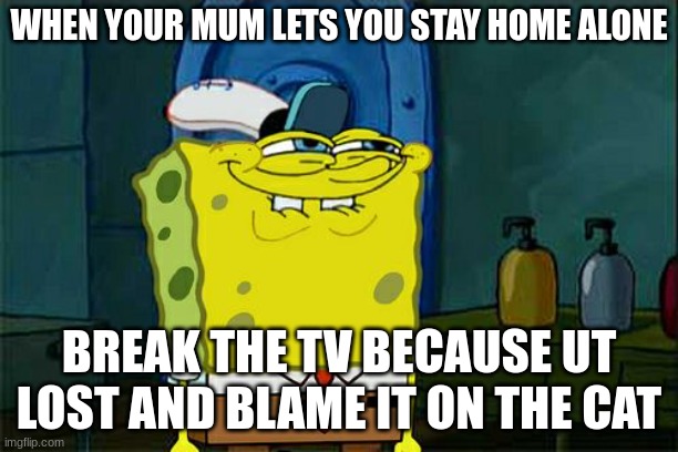 MY MUM NEED SOMETHN´ TO BE MAD AT | WHEN YOUR MUM LETS YOU STAY HOME ALONE; BREAK THE TV BECAUSE UT LOST AND BLAME IT ON THE CAT | image tagged in memes,don't you squidward | made w/ Imgflip meme maker