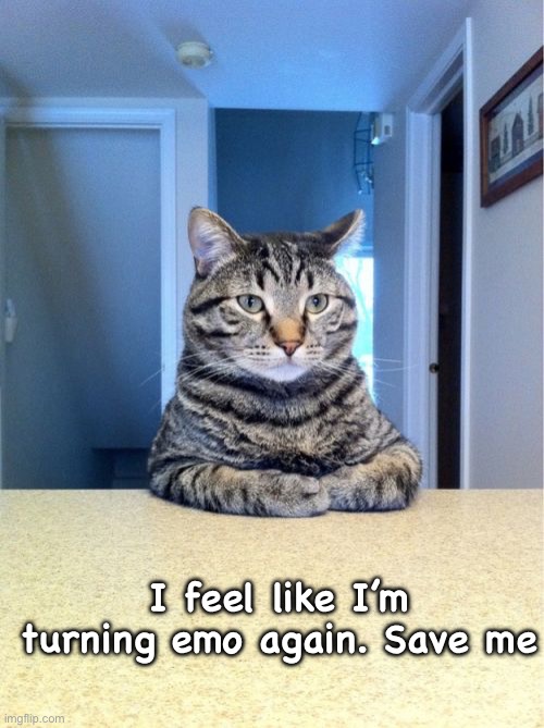 Take A Seat Cat Meme | I feel like I’m turning emo again. Save me | image tagged in memes,take a seat cat | made w/ Imgflip meme maker