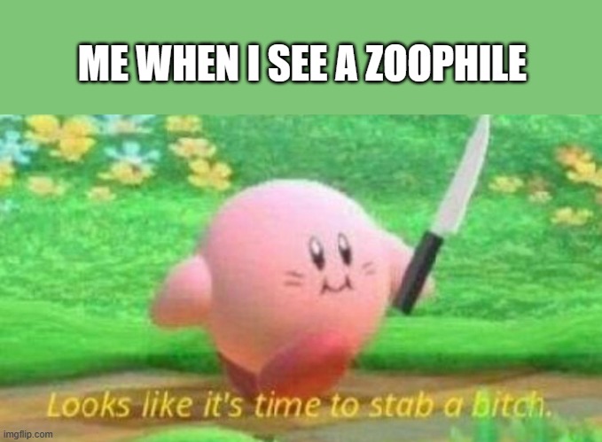 Kirby with a knife | ME WHEN I SEE A ZOOPHILE | image tagged in kirby with a knife | made w/ Imgflip meme maker