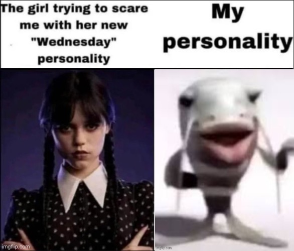 ㅤ | image tagged in the girl trying to scare me with her new wednesday personality | made w/ Imgflip meme maker