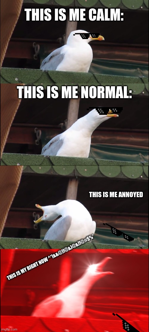 Inhaling Seagull | THIS IS ME CALM:; THIS IS ME NORMAL:; THIS IS ME ANNOYED; THIS IS MY RIGHT NOW ^*!&&@)!@&)@&!!@#$%* | image tagged in memes,inhaling seagull | made w/ Imgflip meme maker