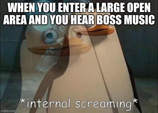 when you're playing a game and this happens | WHEN YOU ENTER A LARGE OPEN AREA AND YOU HEAR BOSS MUSIC | image tagged in private internal screaming,gaming,memes,gaming memes,relatable | made w/ Imgflip meme maker