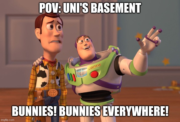 it's true, i've seen it | POV: UNI'S BASEMENT; BUNNIES! BUNNIES EVERYWHERE! | image tagged in memes,x x everywhere | made w/ Imgflip meme maker