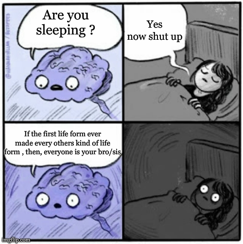 i guess this meme is about to ruin a lot of people's night | Yes now shut up; Are you sleeping ? If the first life form ever made every others kind of life form , then, everyone is your bro/sis | image tagged in brain before sleep,wait a minute,so true memes,meme | made w/ Imgflip meme maker