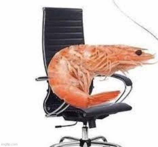chair shrimp | image tagged in chair shrimp | made w/ Imgflip meme maker