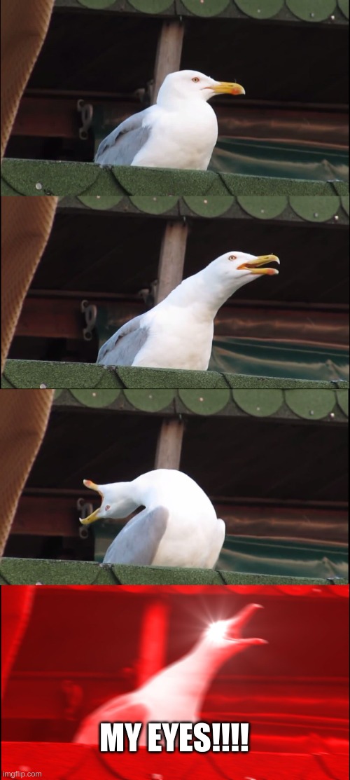 Inhaling Seagull Meme | MY EYES!!!! | image tagged in memes,inhaling seagull | made w/ Imgflip meme maker