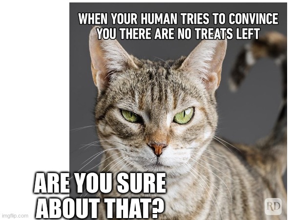 Are you sure about that | ARE YOU SURE ABOUT THAT? | image tagged in cat,treats,are you sure about that cena | made w/ Imgflip meme maker