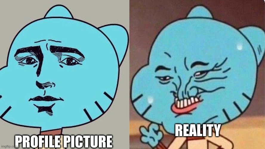 pov | PROFILE PICTURE; REALITY | image tagged in smug gumball | made w/ Imgflip meme maker
