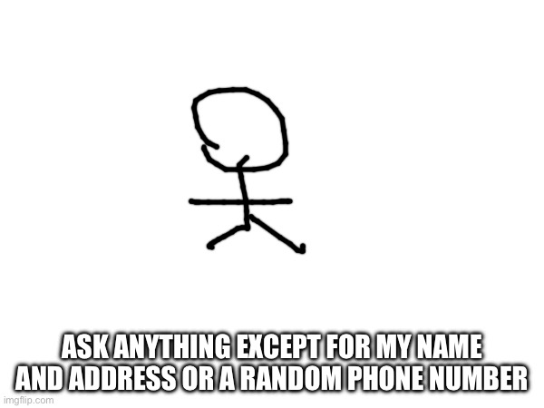 Questions? | ASK ANYTHING EXCEPT FOR MY NAME AND ADDRESS OR A RANDOM PHONE NUMBER | image tagged in fun | made w/ Imgflip meme maker