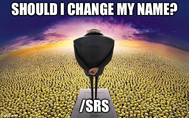 Should I or no? | SHOULD I CHANGE MY NAME? /SRS | image tagged in gru standing over minions | made w/ Imgflip meme maker