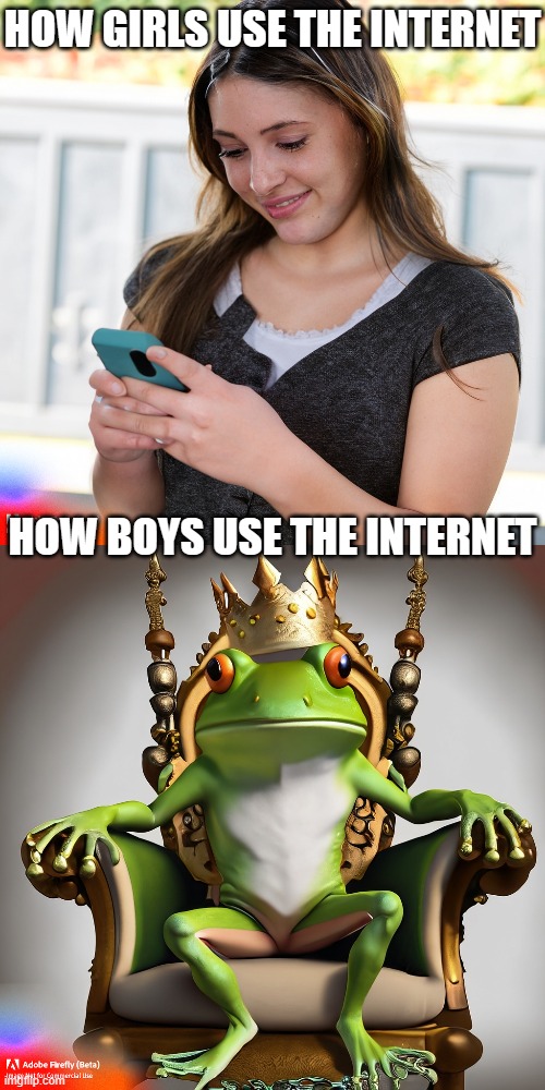 How girls use the internet vs. how boys use the internet | HOW GIRLS USE THE INTERNET; HOW BOYS USE THE INTERNET | image tagged in girls,boys,internet | made w/ Imgflip meme maker