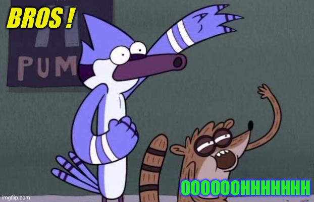 Regular Show | BROS ! OOOOOOHHHHHHH | image tagged in regular show | made w/ Imgflip meme maker