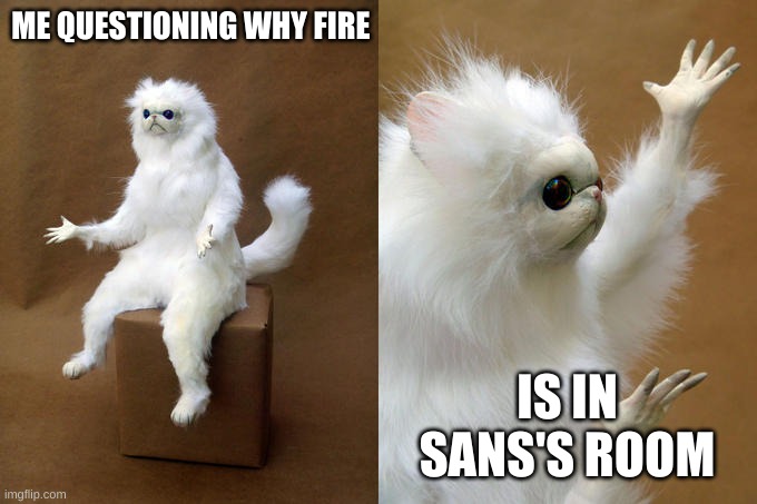 SANS NUUU | ME QUESTIONING WHY FIRE; IS IN SANS'S ROOM | image tagged in memes,persian cat room guardian | made w/ Imgflip meme maker