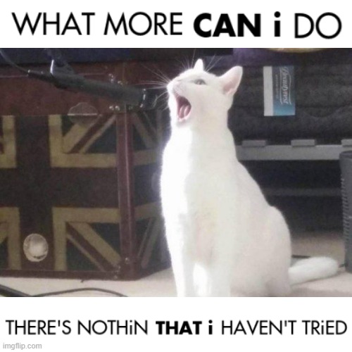 Basically a song lyrics reference to one of Bon Jovi's early songs it's called 'she dont know me' (specifically 1st 2 lines) | image tagged in cat singing into a microphone,memes,bon jovi,80s music,music meme,relatable | made w/ Imgflip meme maker