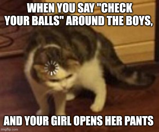 Loading cat | WHEN YOU SAY "CHECK YOUR BALLS" AROUND THE BOYS, AND YOUR GIRL OPENS HER PANTS | image tagged in loading cat | made w/ Imgflip meme maker