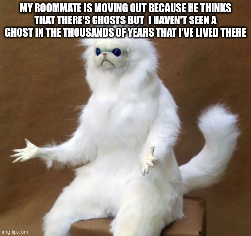 Ghosts? What do you mean ghosts? | MY ROOMMATE IS MOVING OUT BECAUSE HE THINKS THAT THERE'S GHOSTS BUT  I HAVEN'T SEEN A GHOST IN THE THOUSANDS OF YEARS THAT I'VE LIVED THERE | image tagged in persian white monkey | made w/ Imgflip meme maker