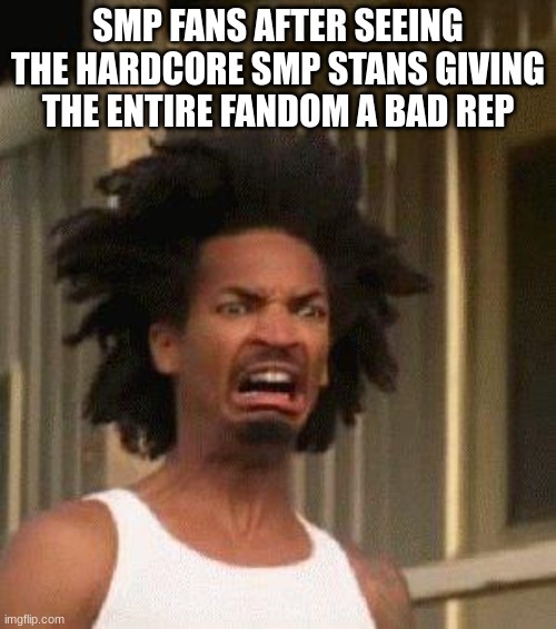 https://youtu.be/XM0cWzLkQmk?t=85 | SMP FANS AFTER SEEING THE HARDCORE SMP STANS GIVING THE ENTIRE FANDOM A BAD REP | image tagged in disgusted face | made w/ Imgflip meme maker